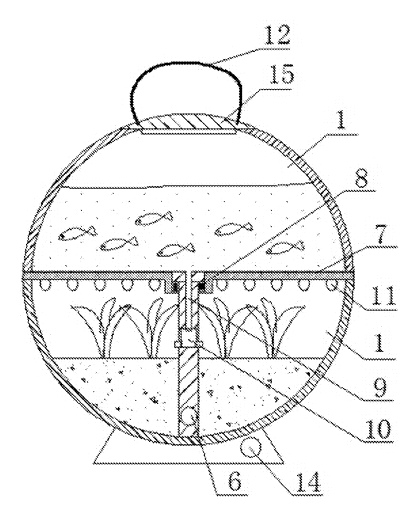 Globe-Shaped Fish Tank and Flowerpot Device with Auto-Watering - Patent drawing - sectional view of the device