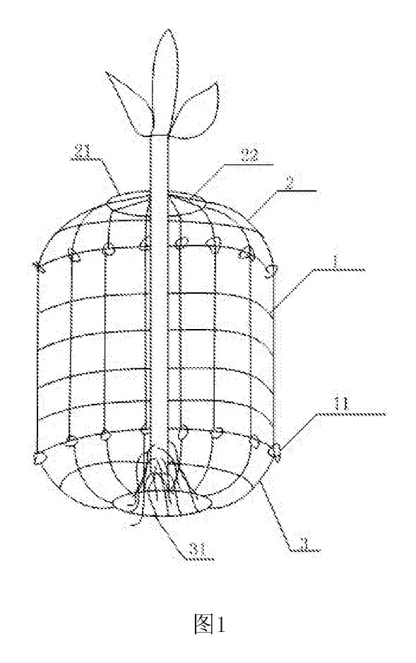 Wire-Mesh Tree Root & Trunk Guard Against Rodents - patent drawing