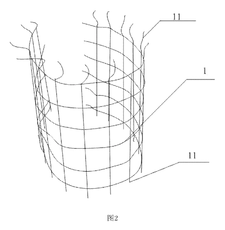 Wire-Mesh Tree Root & Trunk Guard Against Rodents - Patent Fig. 2