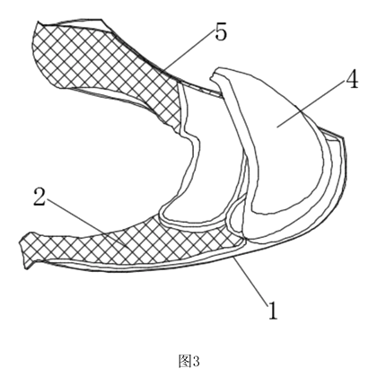 Padded Toe-Box Shield for Sneakers - Patent Fig. 3