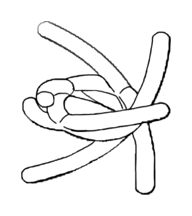 Impact-Resistant Glove with a 3D-Printed Lattice Layer - Patent Fig. 3
